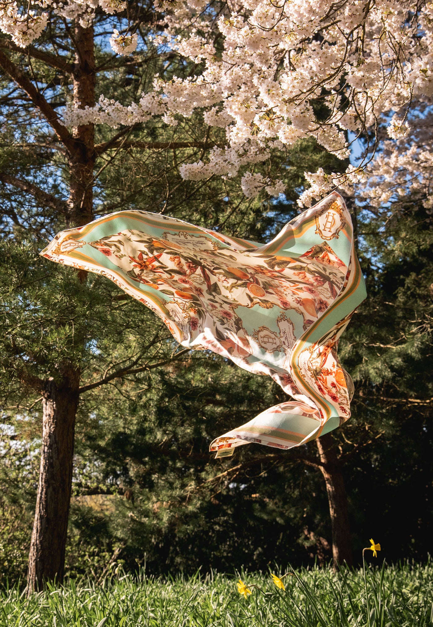 Silk Scarf - The Orangery
