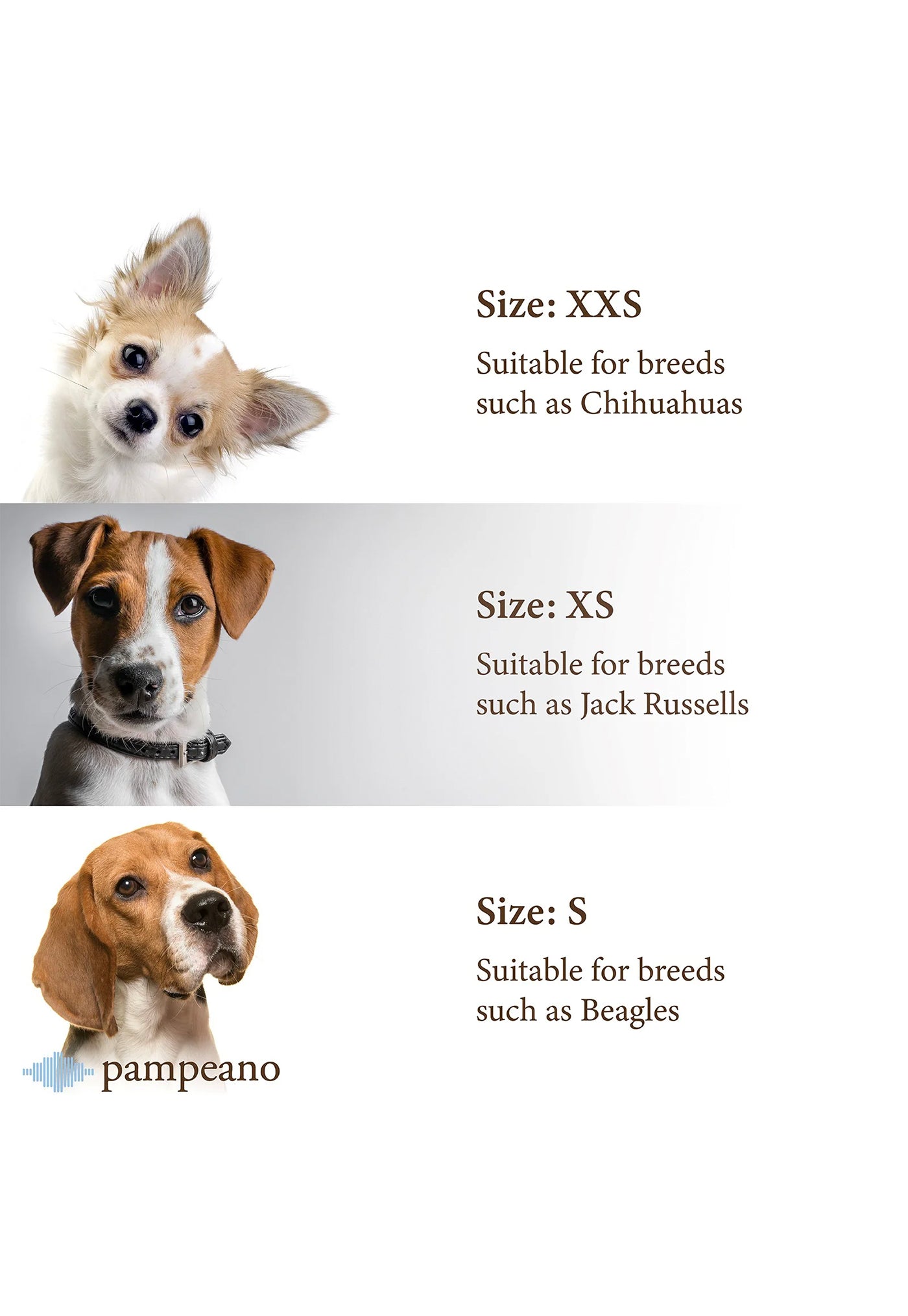 Pampa Dog Collar - Multi