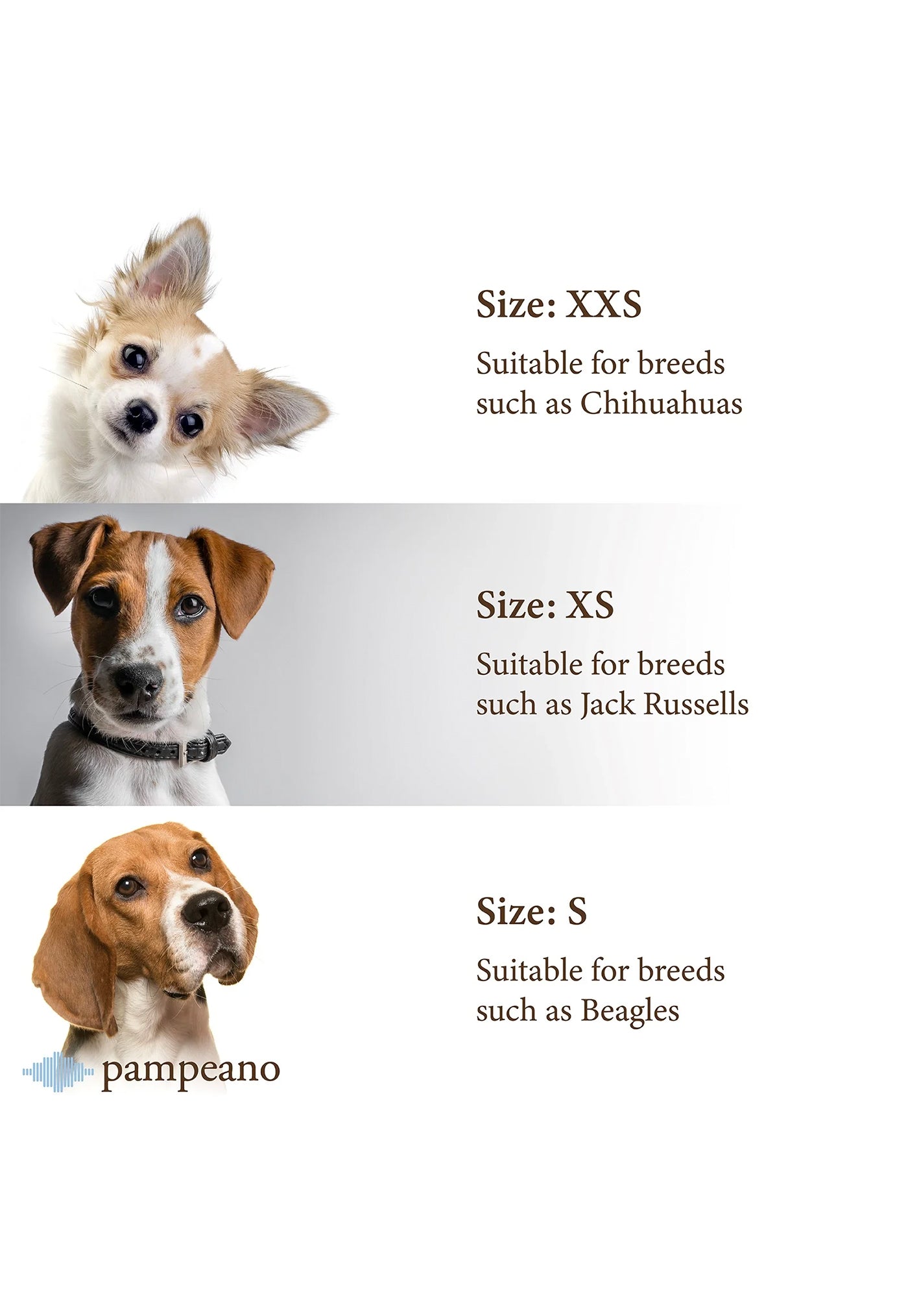 Pampa Dog Collar - Navidad
