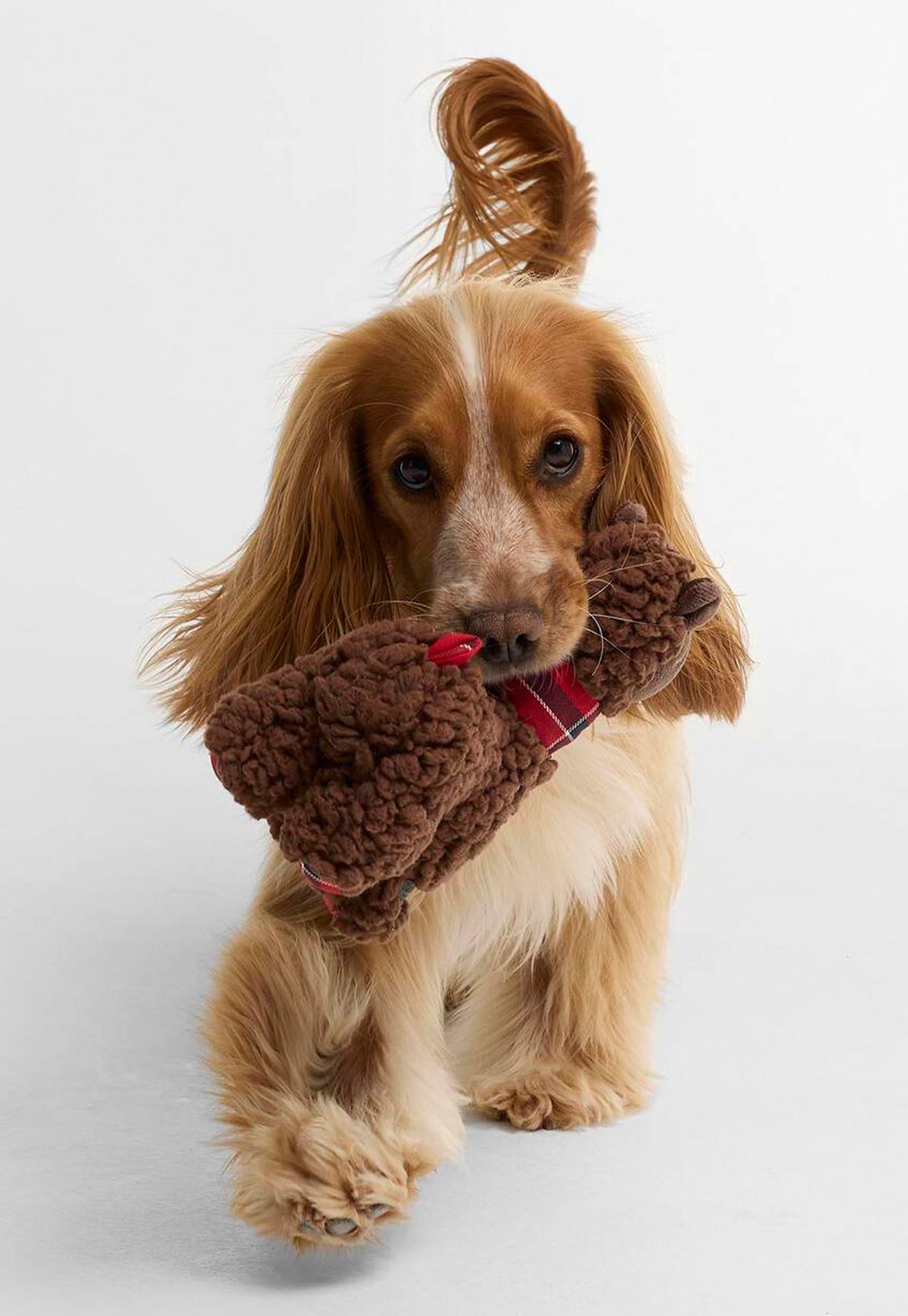 Dog playing with their Barbour Llama Dog Toy featuring a soft plush llama design with a signature tartan scarf.