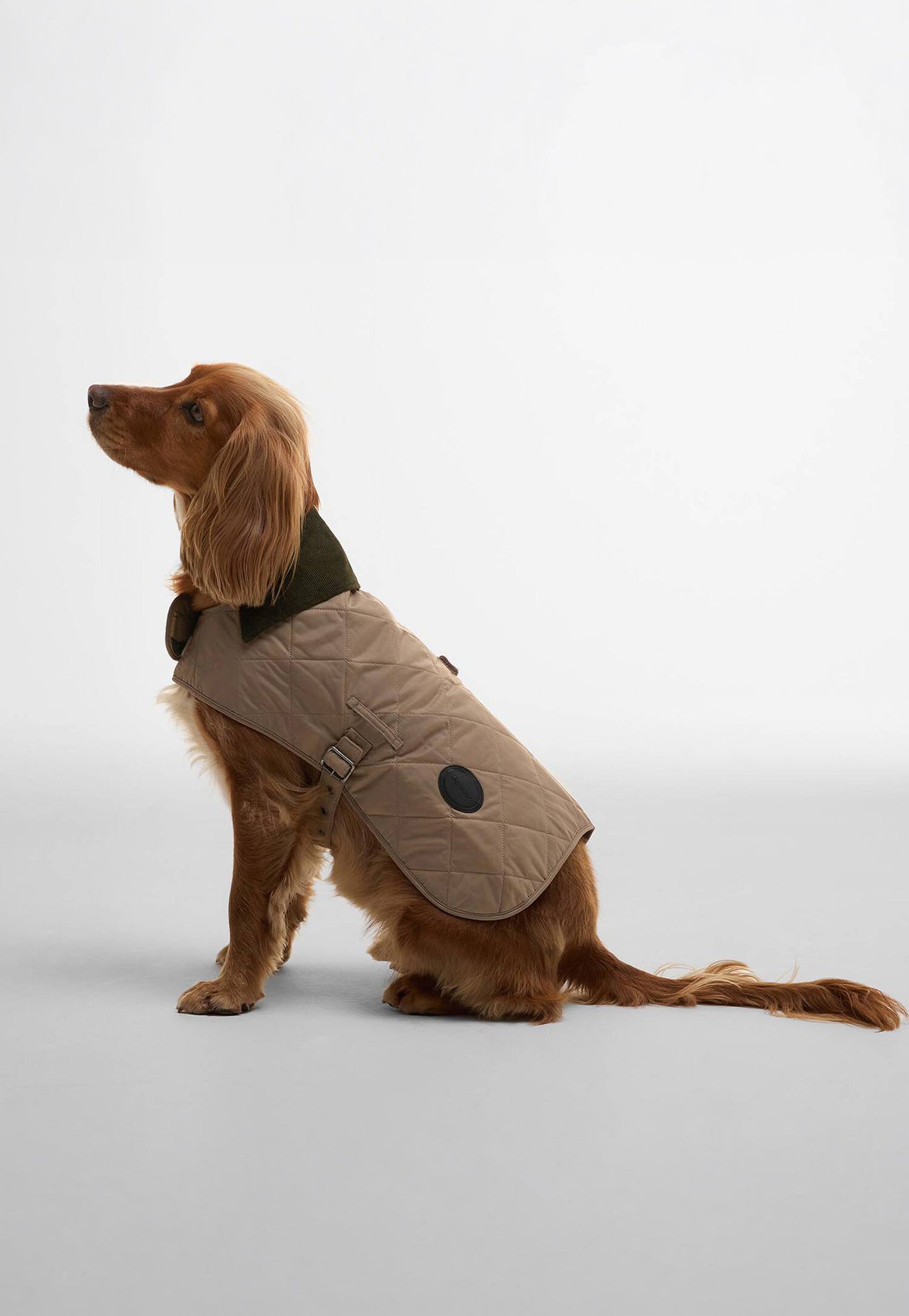 Quilted Dog Coat - Sand/Dune
