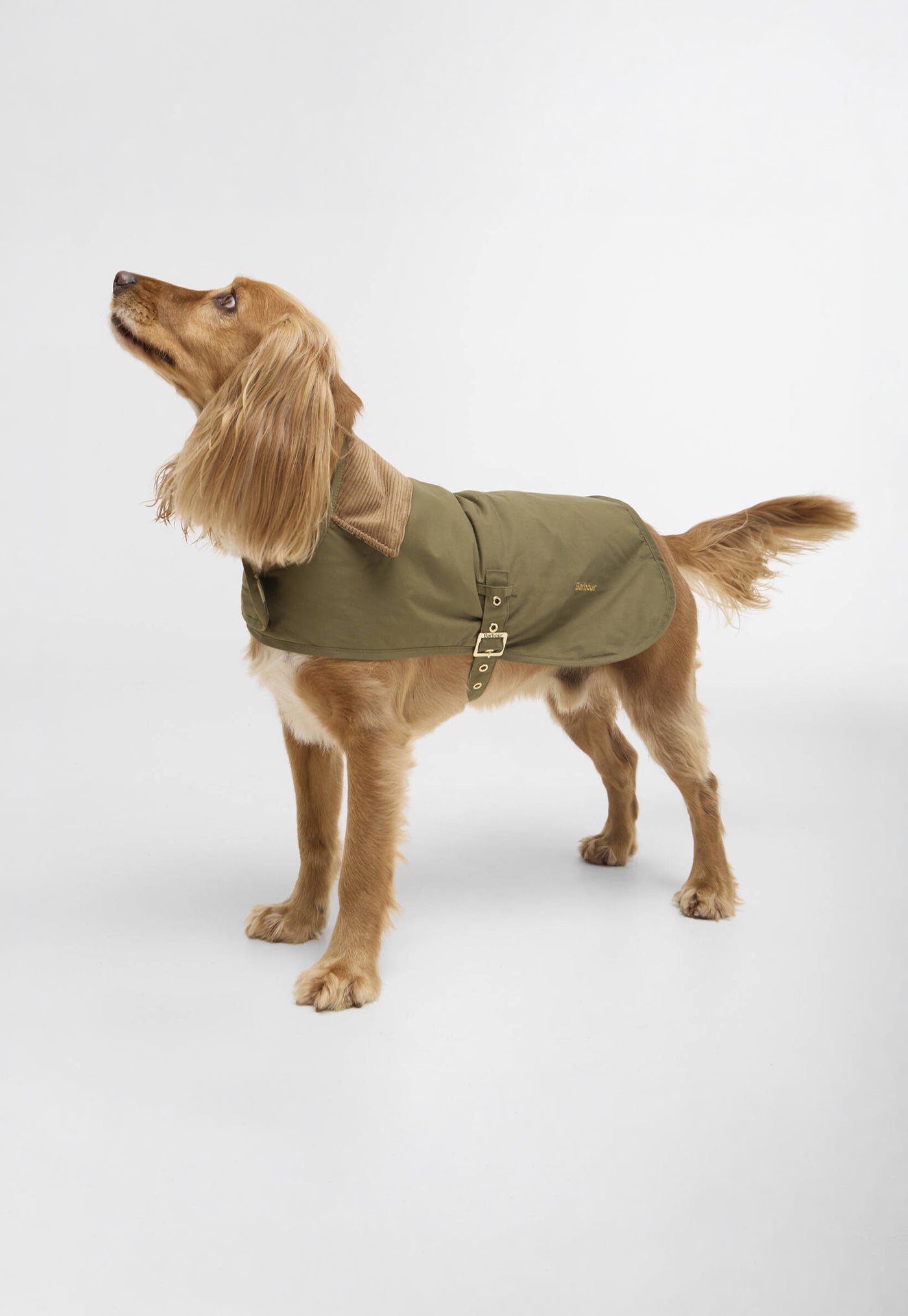 Transport Dog Coat - Dusky Green