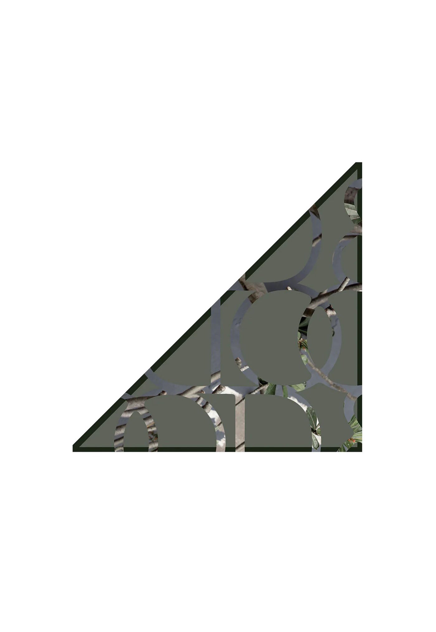 Heritage Triangle - Olive