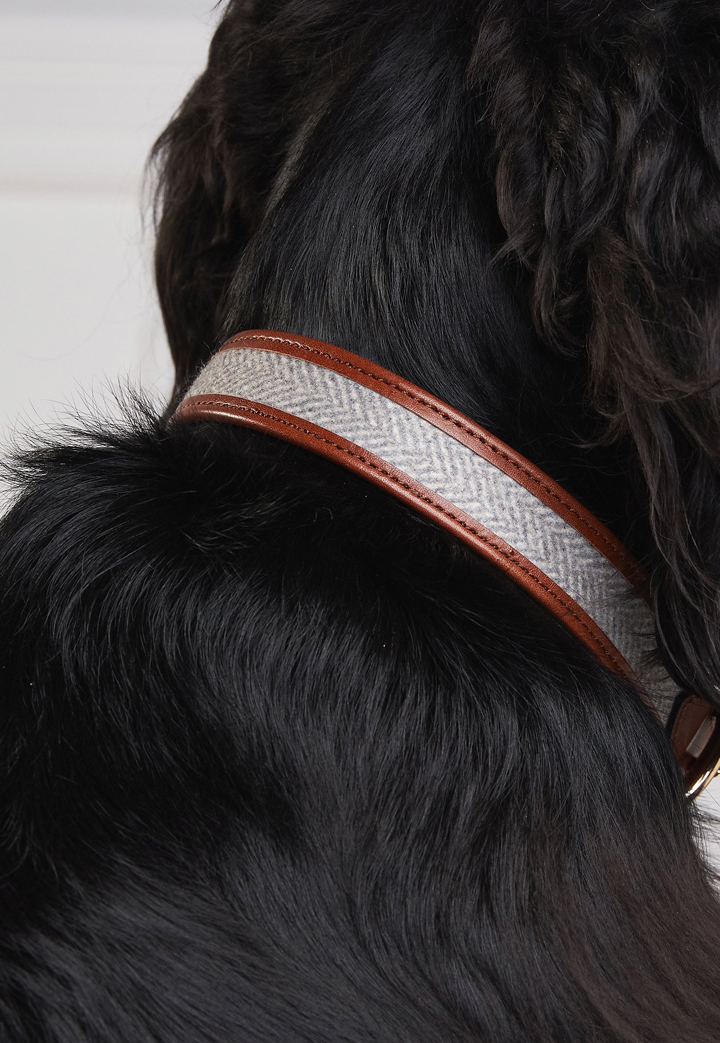 HC Classic Dog Collar - Chestnut & Tweed
