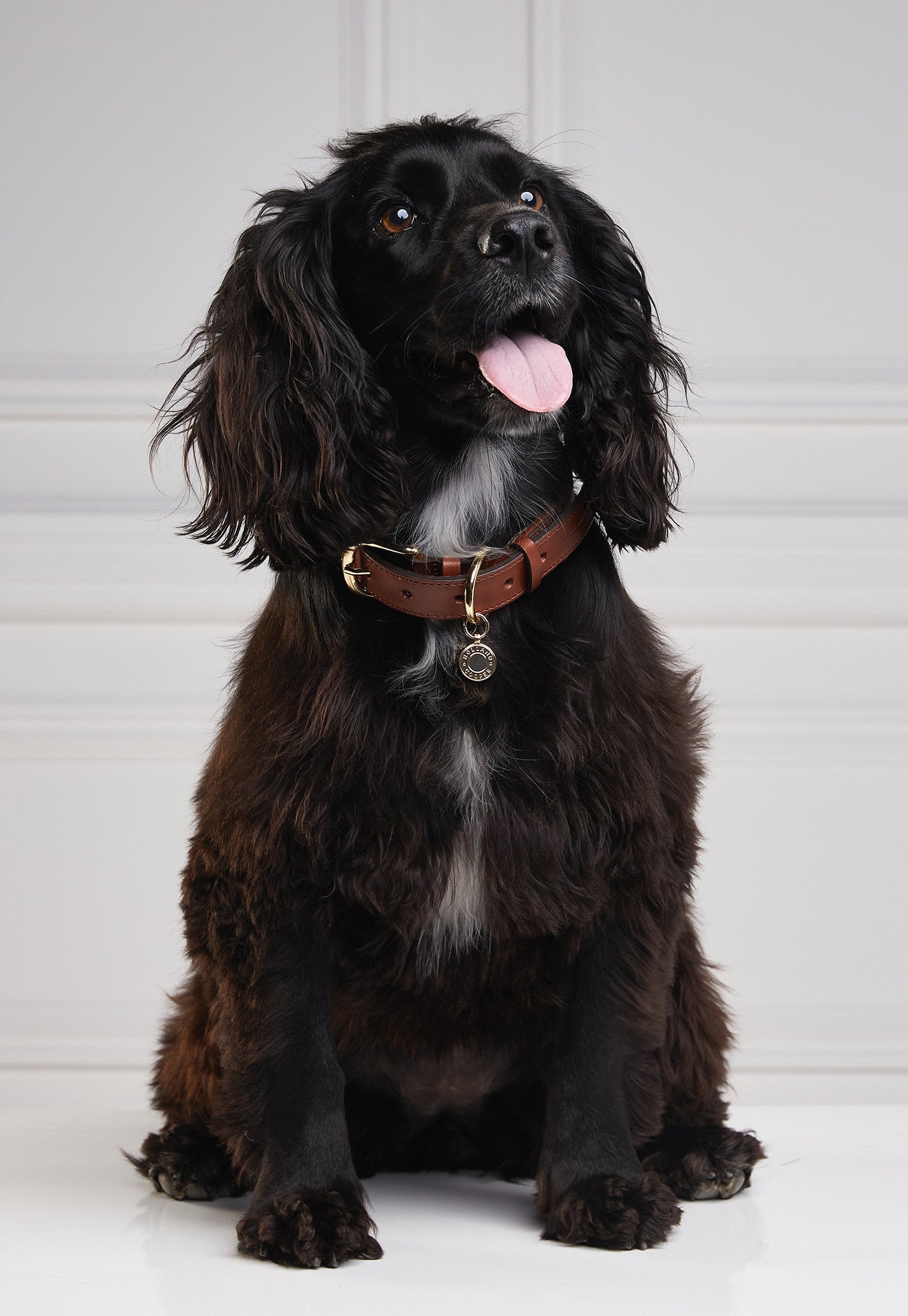 HC Classic Dog Collar - Chestnut & Tweed