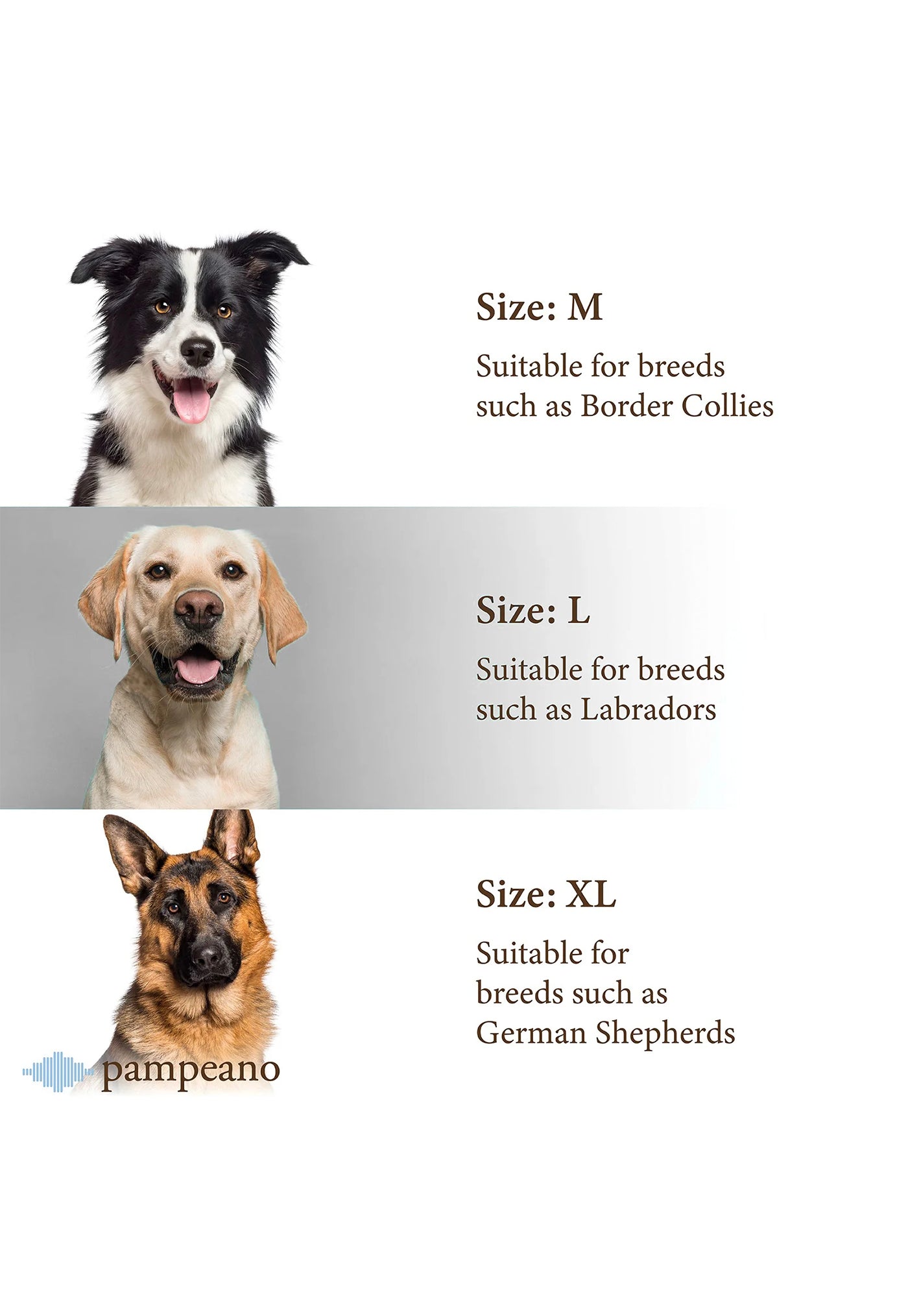 Pampa Dog Collar - Navidad