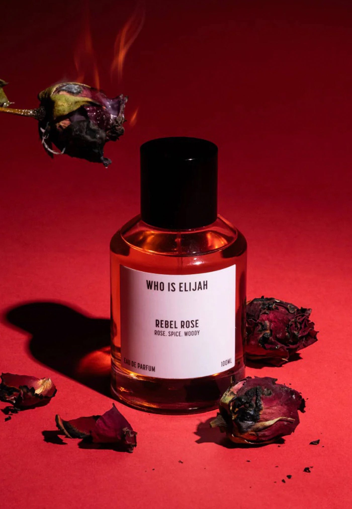 Rebel Rose