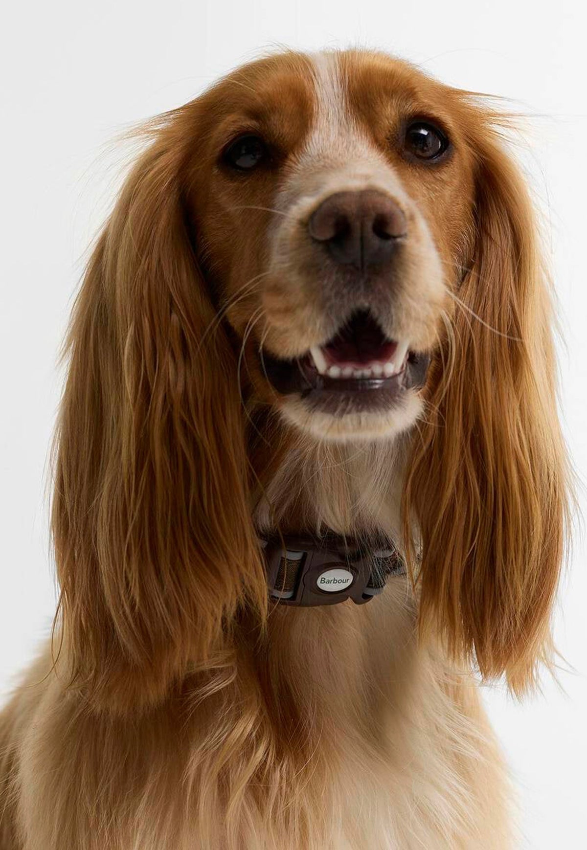 Barbour Reflective Tartan Dog Collar featuring signature tartan fabric, reflective piping and branded clip fastening.