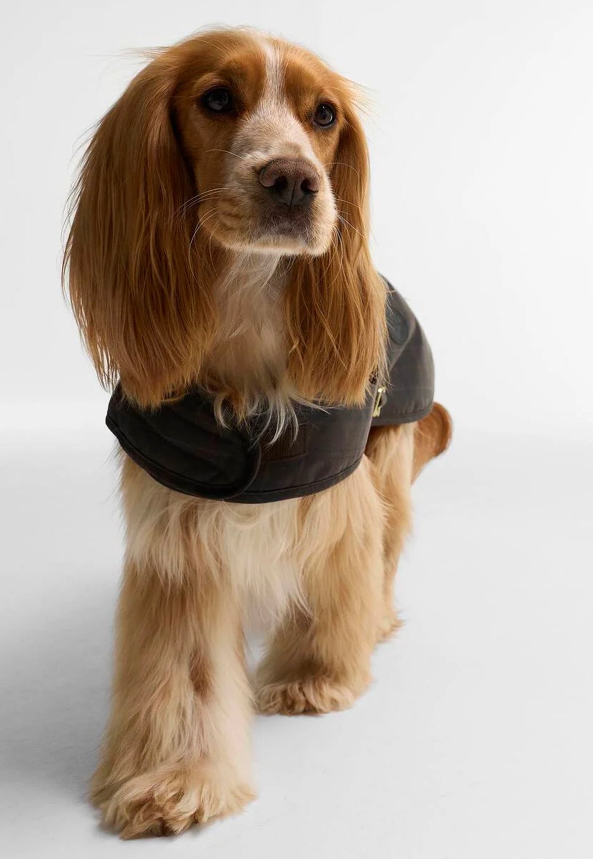 Tartan Wax Dog Coat - Muted Tartan
